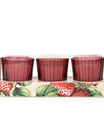 Wild Strawberry & Rhubarb 3 Pack Votive Candle Set