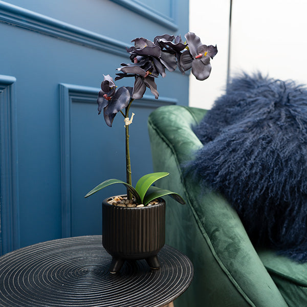 artificial plants black pot Matt black orchid in ceramic footed pot- 42cm – Madison & Mayfair