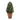 Artificial cypress tree with dense green foliage in a ribbed terracotta-effect pot on a white background