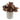 Artificial Eucalyptus plant with rich brown and green leaves in a textured grey stone-effect pot on a white background
