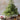Abigail Ahern Large Faux Christmas Tree