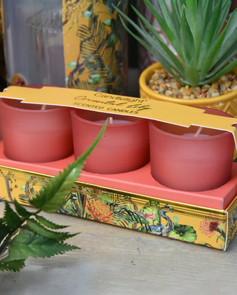 Luxury Set of 3 Oriental Lily Scented Ochre Chinoiserie Candles