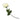 Elegant Lifelike Cream Open Rose with a Single Graceful Green Stem