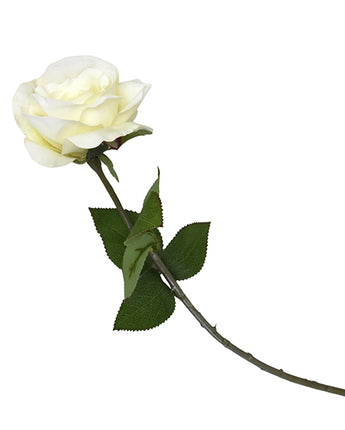 Elegant Lifelike Cream Open Rose with a Single Graceful Green Stem