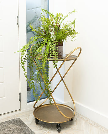 Modern Greenery: Lifelike Fern Succulent in a Clear Glass Fishbowl