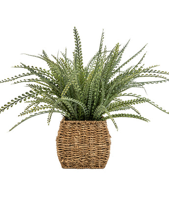 Green Artificial Fern Plant in a Beige Seagrass Woven Basket