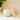 Coastal Escape Large Wax Candle Sea Salt Scent with a Wooden Lid