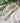 Set Of 2 Wooden Fork/Spoon With Enamel Inlay