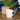 Wide Mug Nautical Dashes Grey