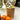 Small Storage Jar Mango Wood with Enamel Inlay Orange Blossom - White