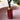 Luxurious 200ml Tall Round Reed Diffuser Red Pomegranate & Cassis Scent
