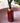 Luxurious 200ml Tall Round Reed Diffuser Red Pomegranate & Cassis Scent