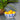 Rectangular Bowl - Blue/White Design