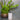 Toilet Brush Holder Harbour Stripe Bathroom