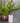 Toilet Brush Holder Harbour Stripe Bathroom