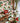 Enchanting Strawberry Patch Rectangular Mango Wood Tray with Enamel Print