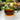 Modern Green Borosilicate Glass Mug