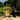 Yellow Egg Chair