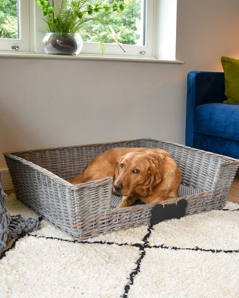 Extra Large Dog Basket With Padded Bed with Chalk board Personalisation - Grey