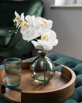 Orchid in Green Vase