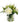 Glass Vase With Roses