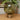 Green, glass ball, LED lamp.
