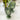 14cm Stemmed White Wine Glass Green