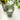 16cm Stemmed Red Wine Glass