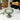 10cm Stemmed Champagne Saucers - Green
