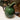 Olive Reactive Glaze - Jug