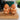 Set of Two Highland Cow Egg Cups