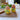 Set of 2 Lemon Egg Cups