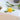 Lemon Butter Dish