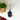 Hydrangea & Jasmine Reed Diffuser