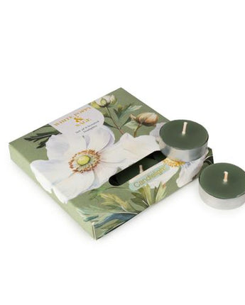 Set of 9 White Poppy & Sage Tealights