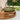 Round Mango Wood Tray