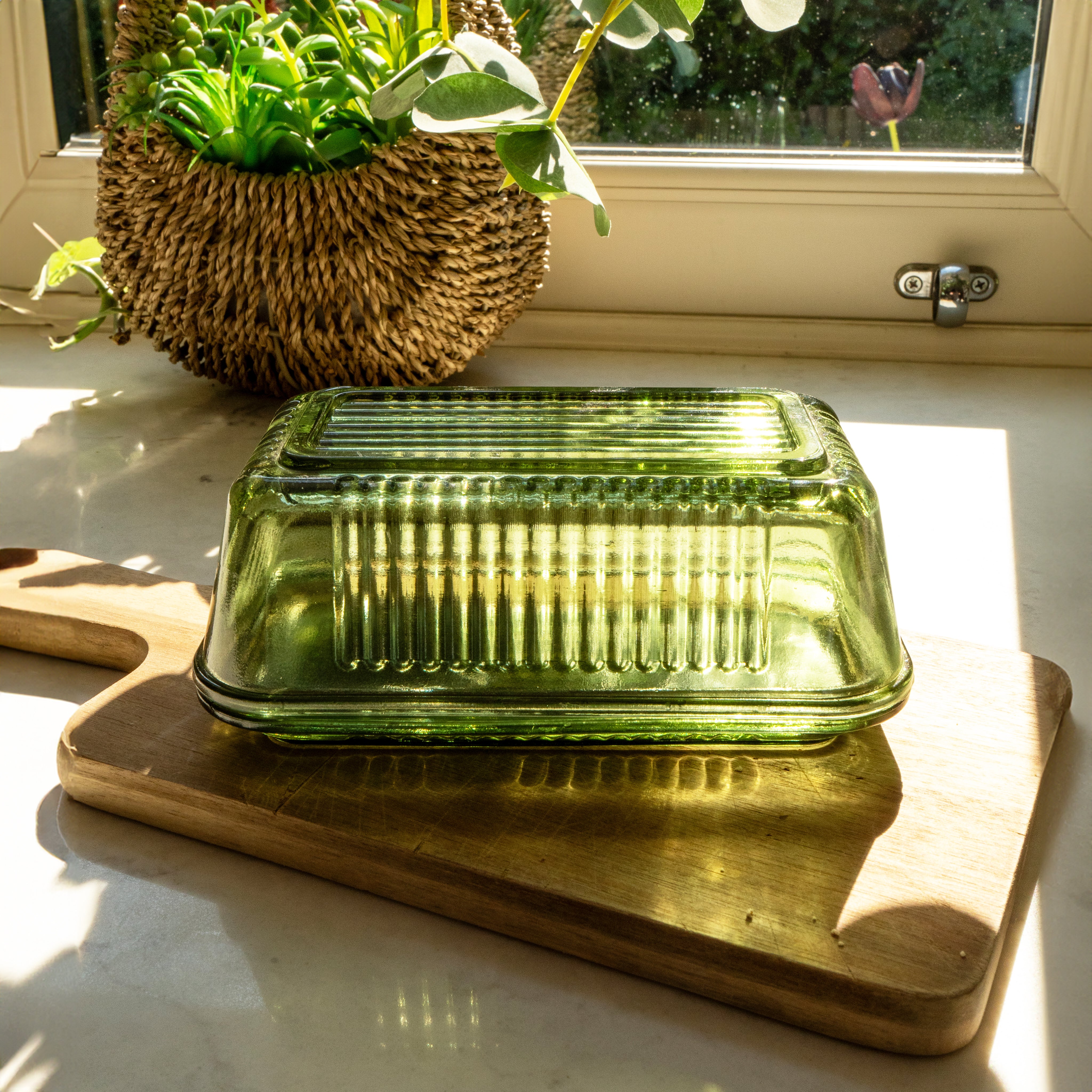 Aazon.co | izoi-Plastic Butter Dish with Lid for Countertop and Aazon.co | izoi-Plastic Butter Dish with Lid for Countertop and