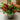 Artificial Chillies in Decorative Tin - 15cm