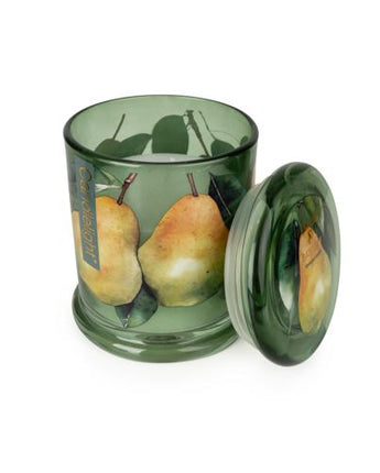 Large Pear Tree & Bay Leaf Lidded Jar Candle