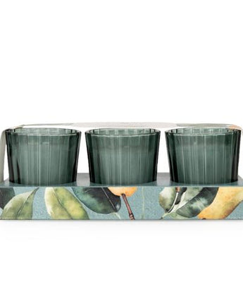 Pear Tree & Bay Leaf Votive Candle Set
