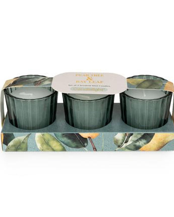Pear Tree & Bay Leaf Votive Candle Set