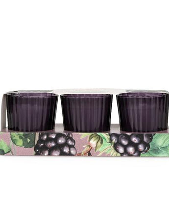 Blackberry & Fig Tree Votive Candle Set