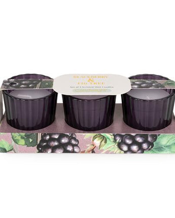 Blackberry & Fig Tree Votive Candle Set