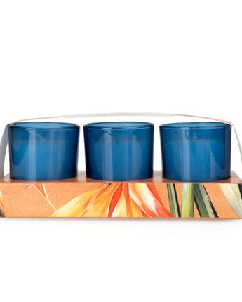 Paradise Flower & Mango Votive Candle Set