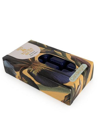 Iris & Tonka Bean Pack of 8 Wax Melts