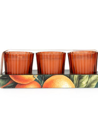 Mandarin & Orange Blossom Votive Candle Set