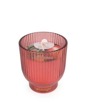 Mango & Honey Medium Footed Candle