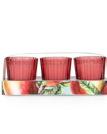 Mango & Honey Votive Candle Set