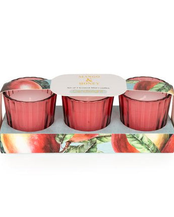 Mango & Honey Votive Candle Set