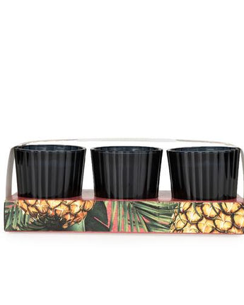 Pineapple & Coconut Votive Candle Set